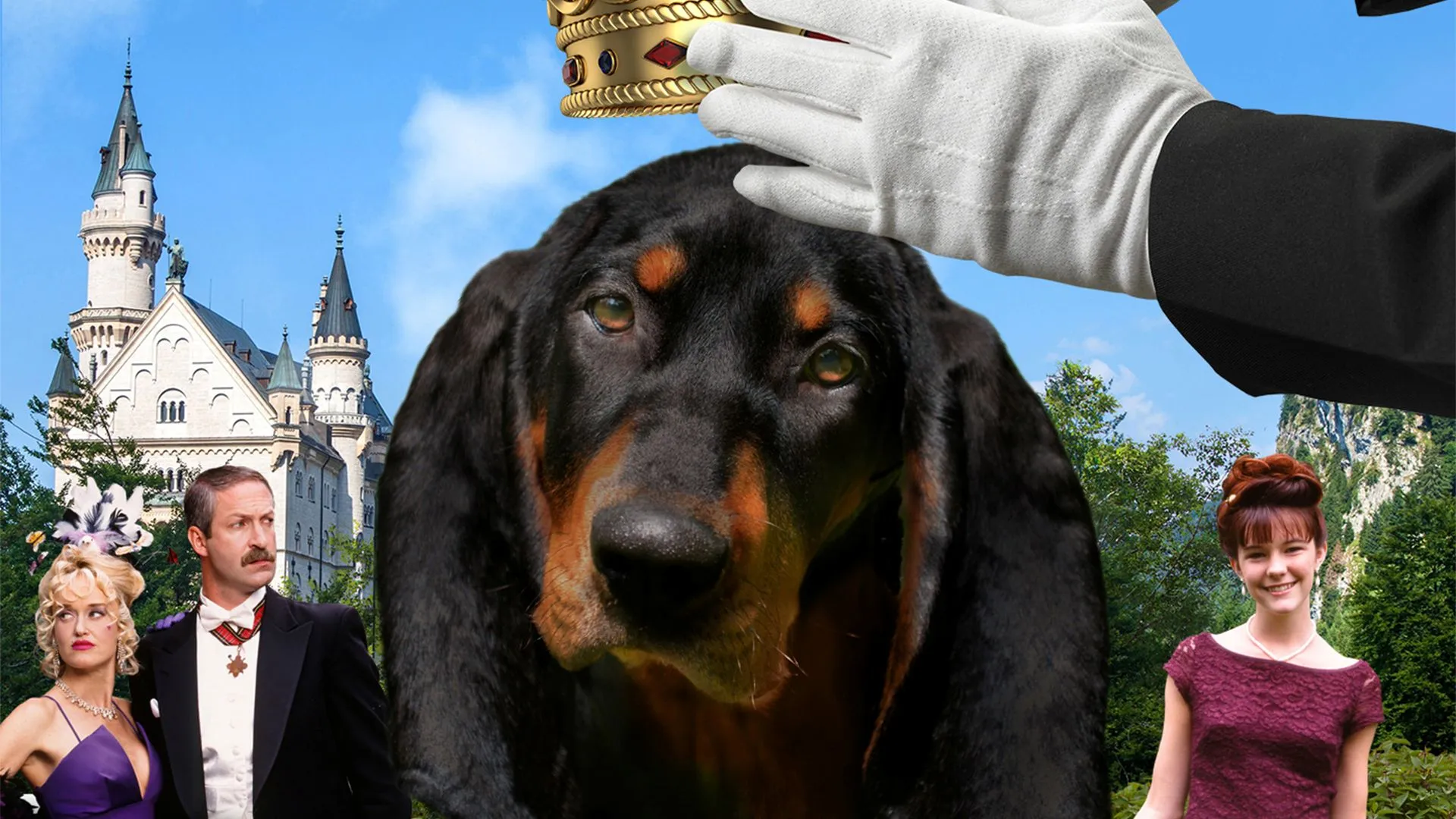 The Duke