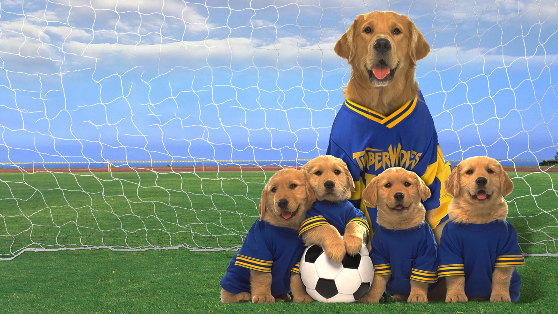 Air Bud: World Pup