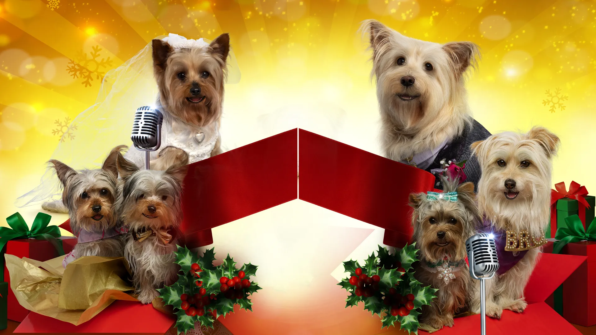 Puppy Star Christmas