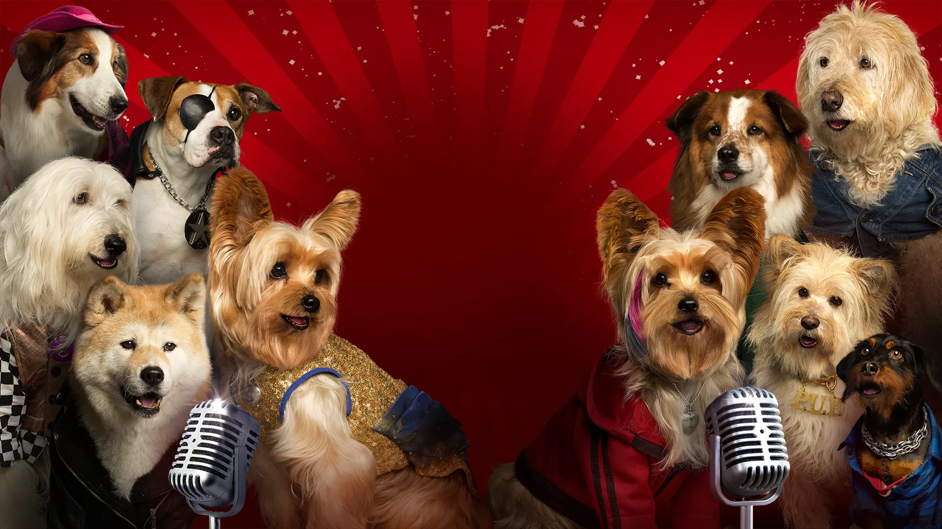 Pup Star: Better 2Gether