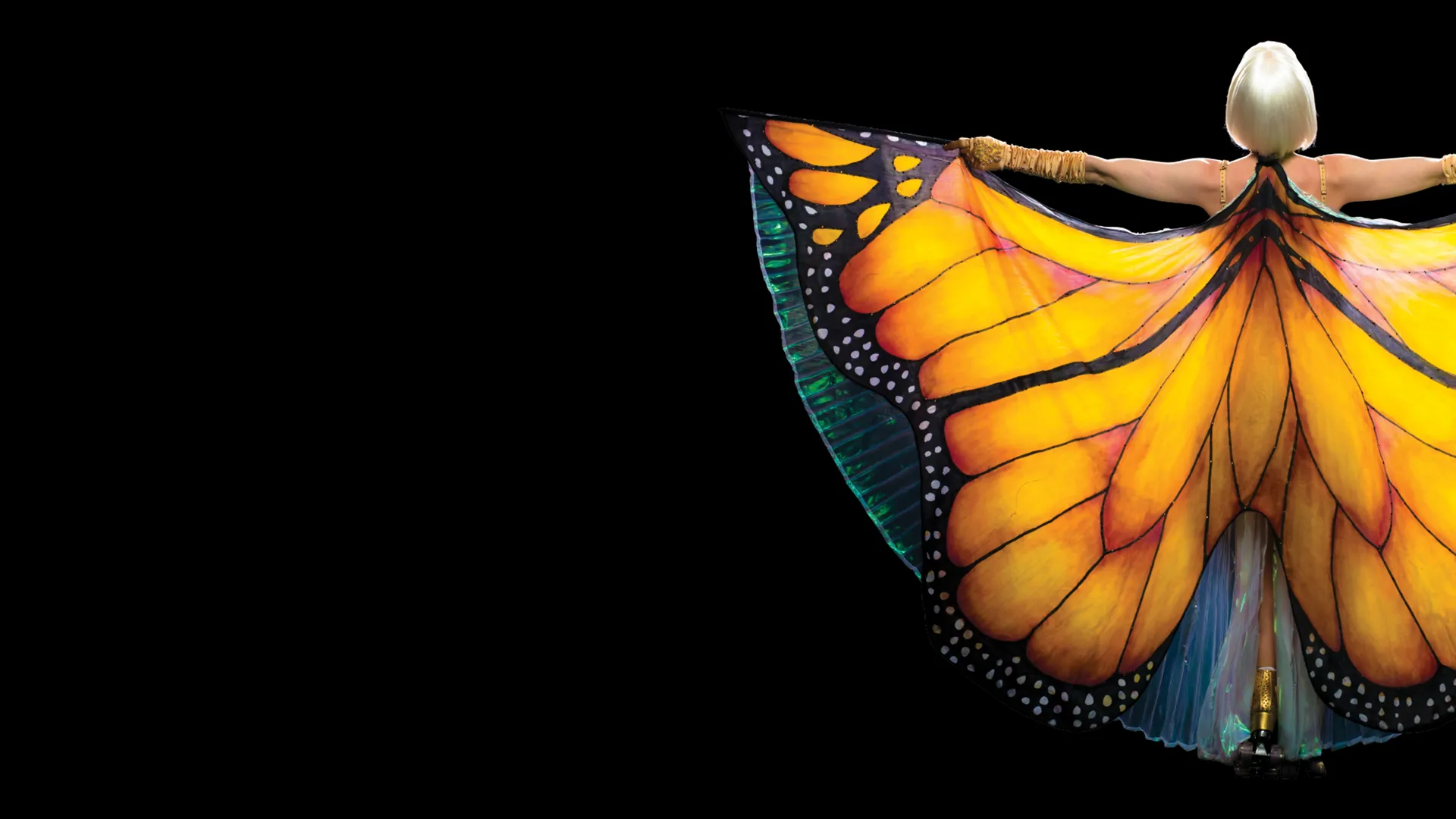 The Butterfly Tree