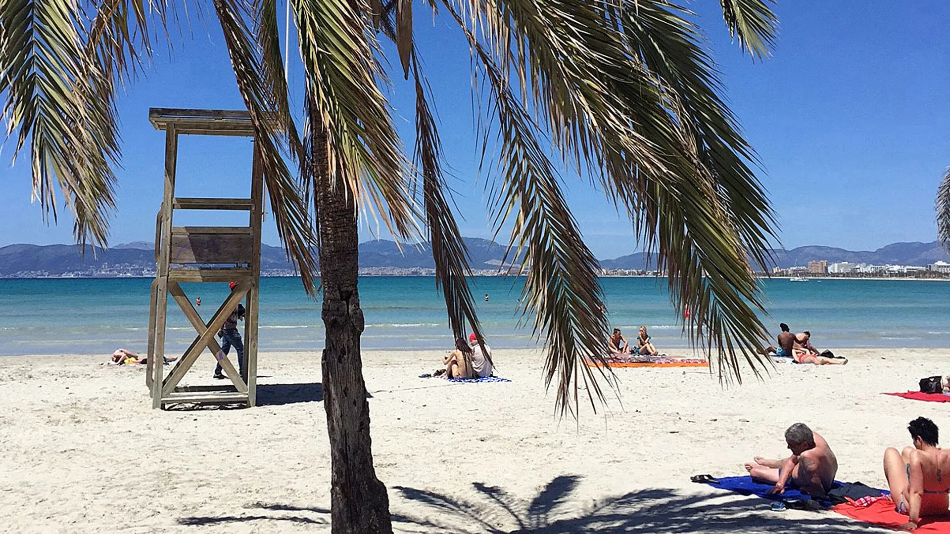 Endstation Mallorca - Leben und Überleben auf der Sonneninsel