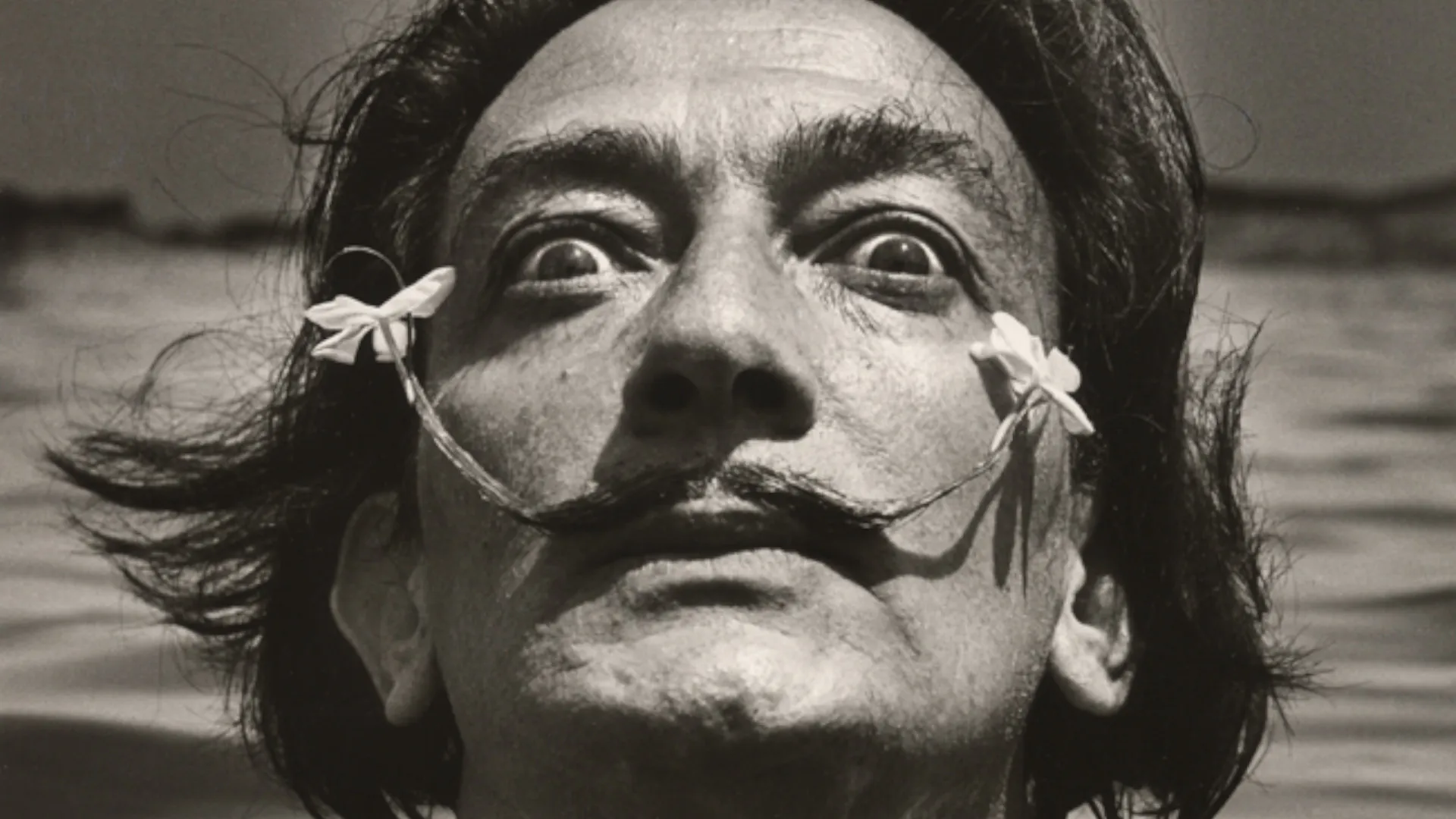 Discovering Dali
