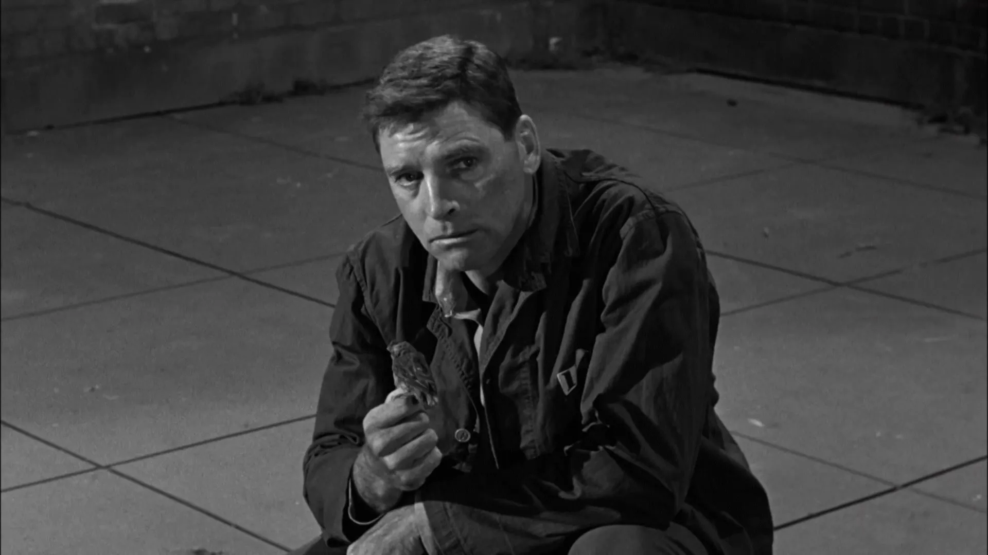 Birdman of Alcatraz