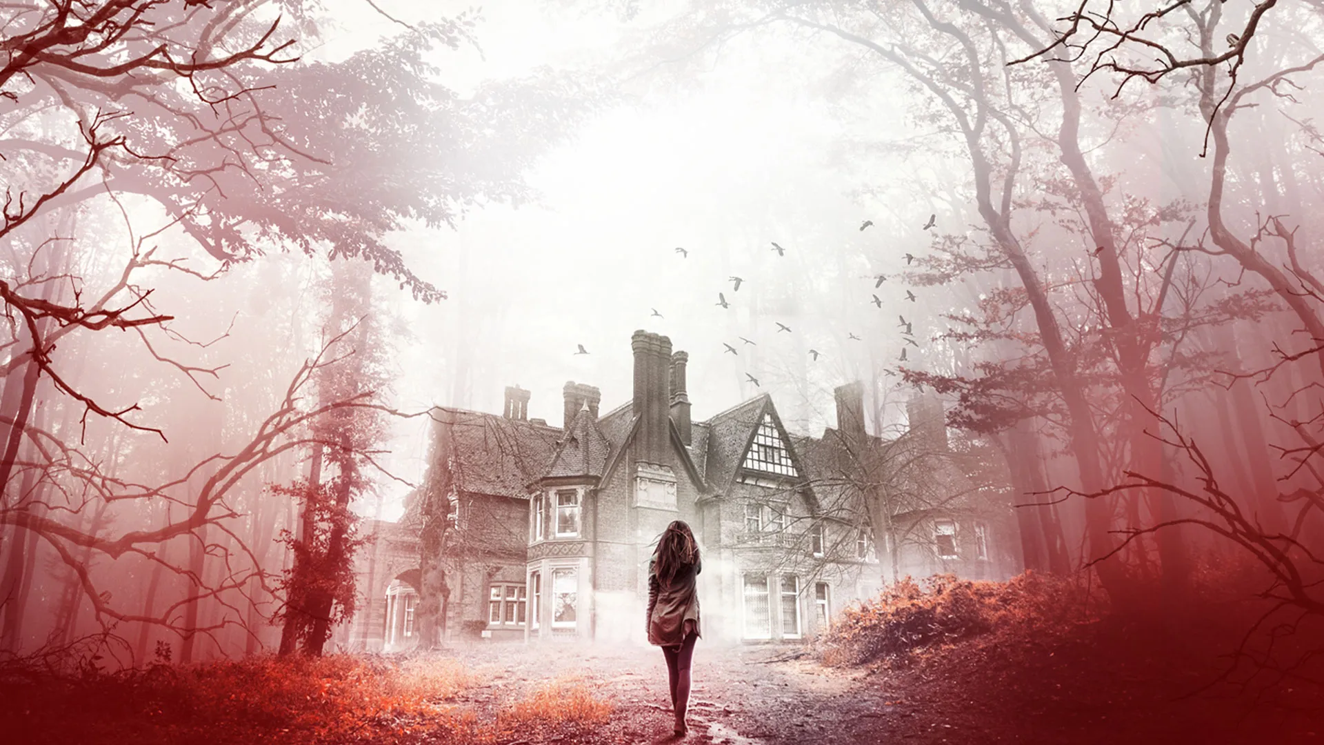 House Of Shadows