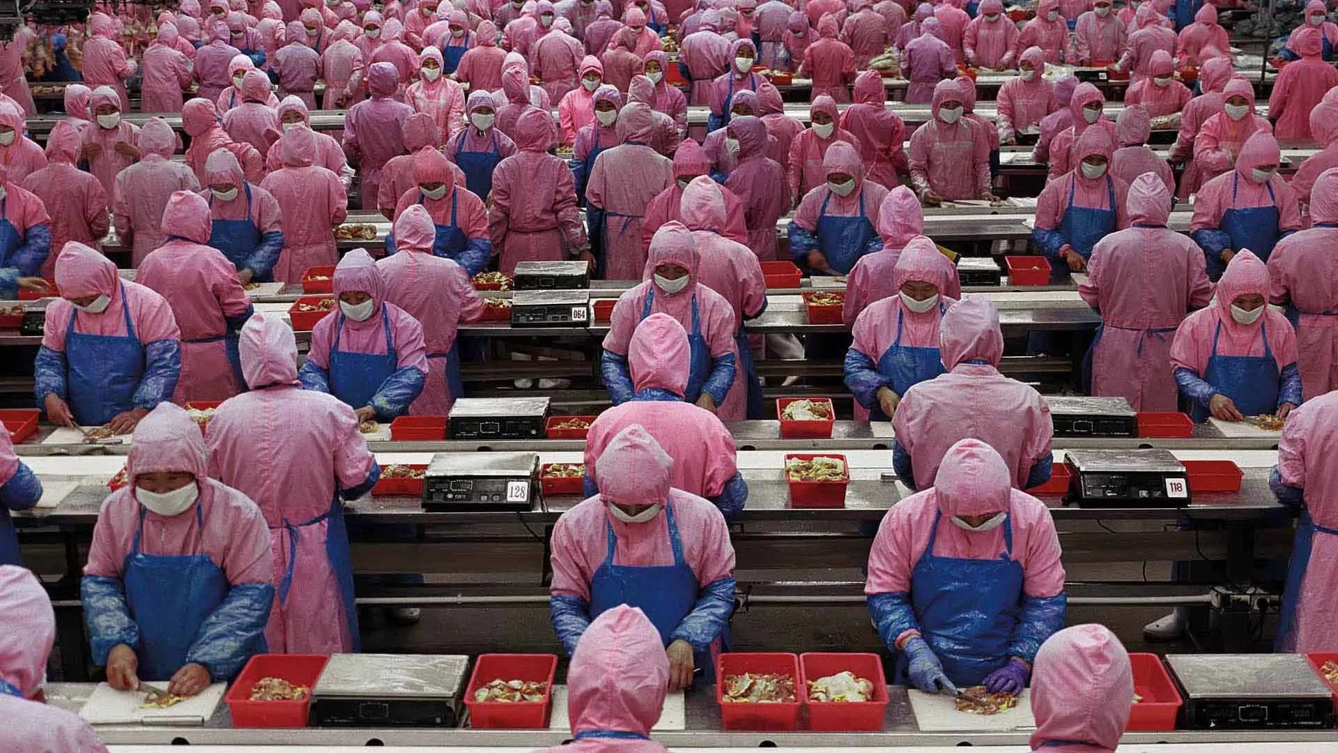 Manufactured Landscapes