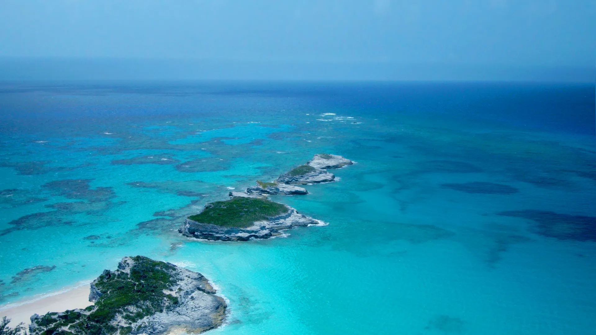 Grande Azul Selvagem