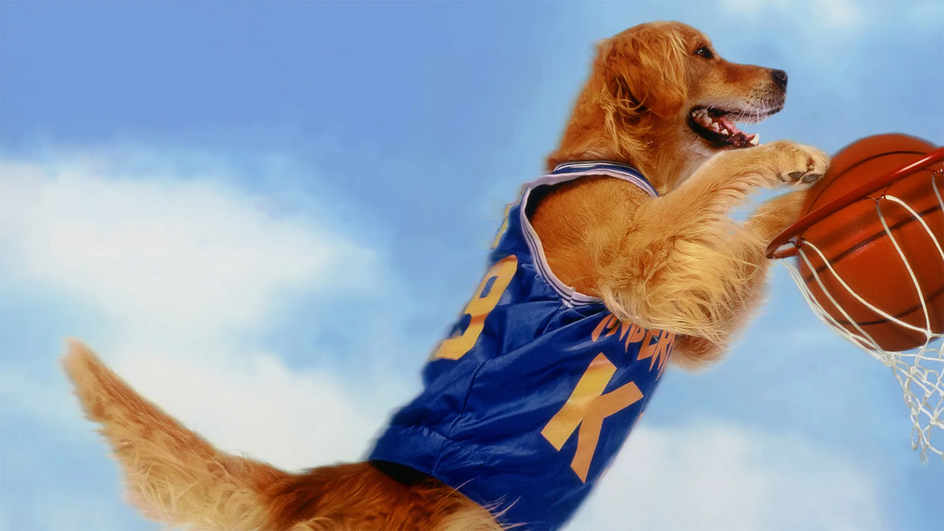Bud - O Cão Amigo