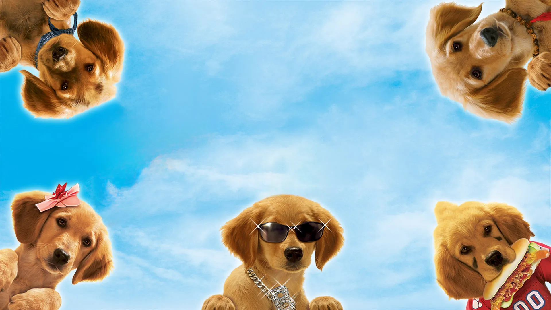 Bud: Uma Nova Cãofusão