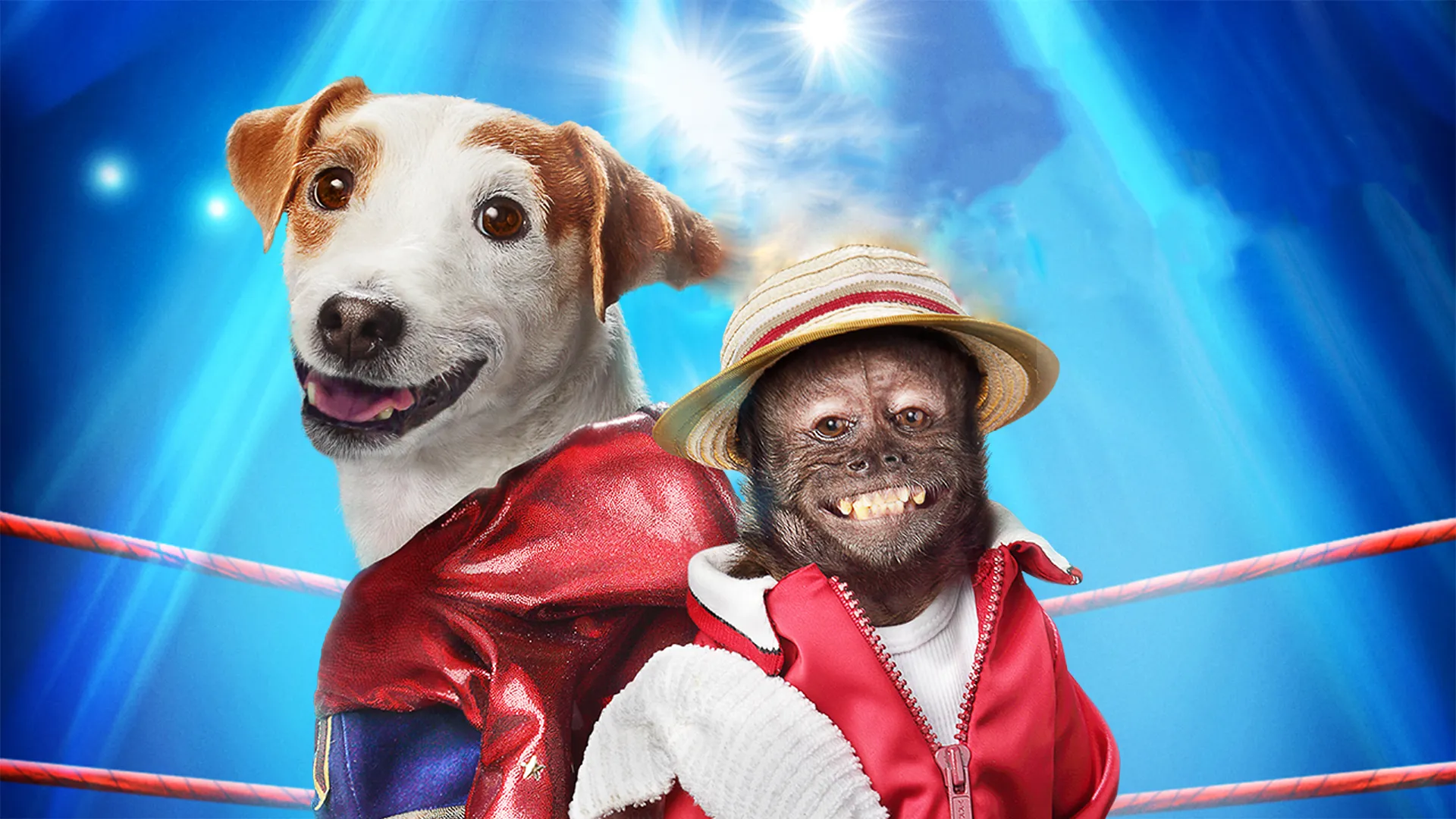 Russel: O Cãopeão