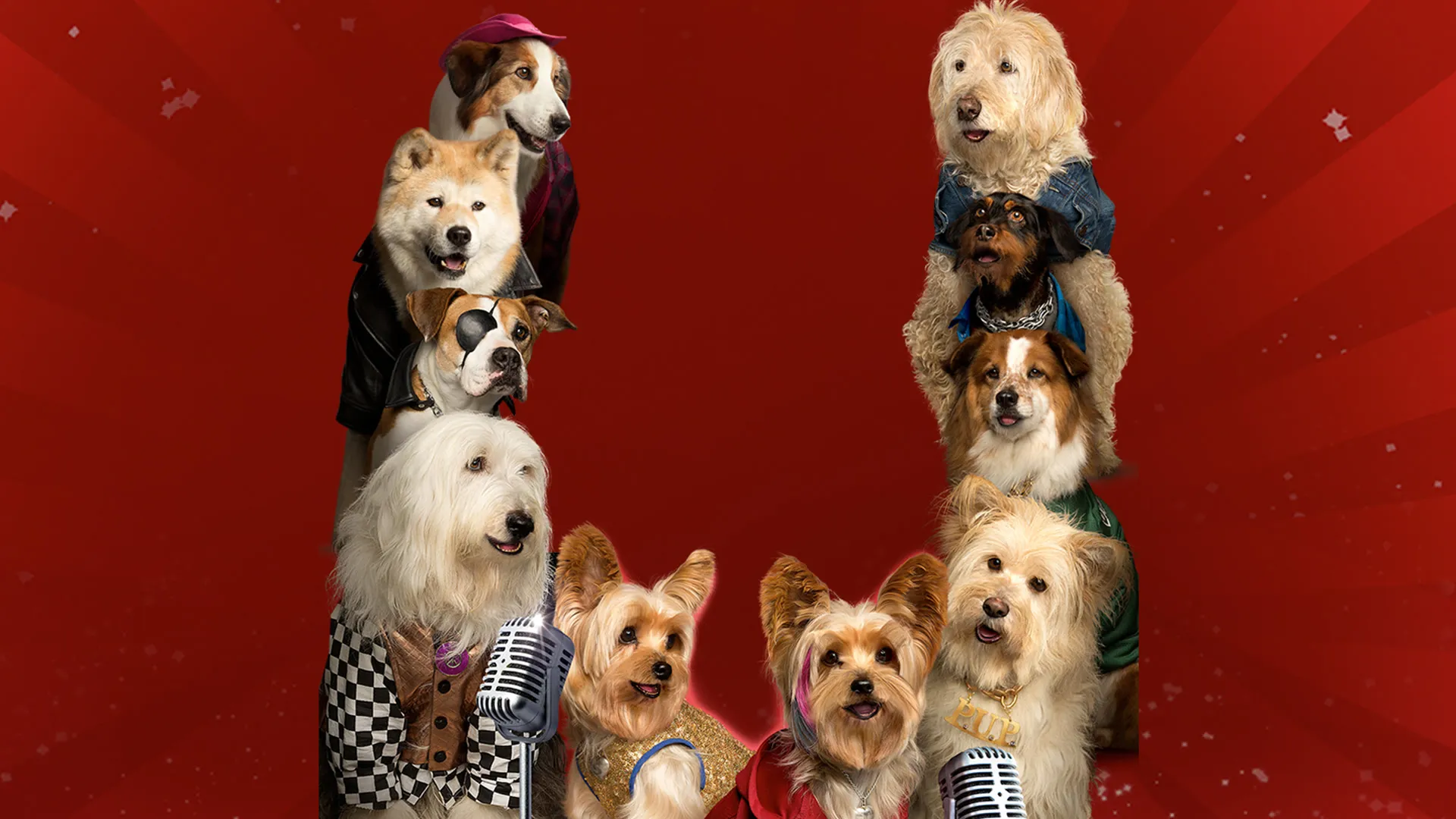Pup Star 2: Melhores Juntos
