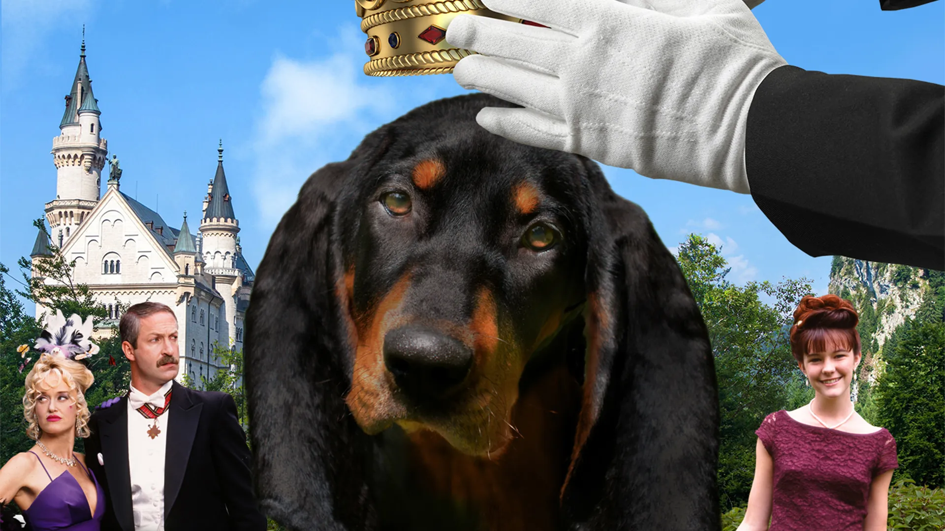 As Aventuras de Hubert, o Cão Herdeiro