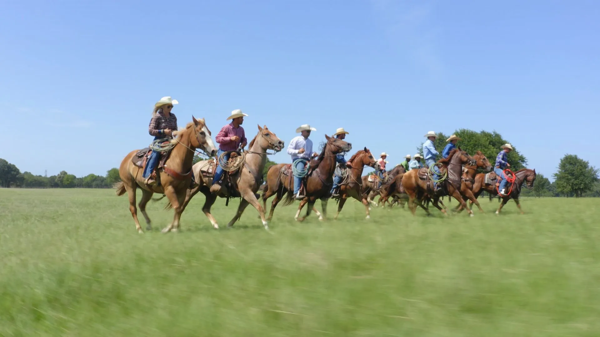 Cowboys: O Confronto Final