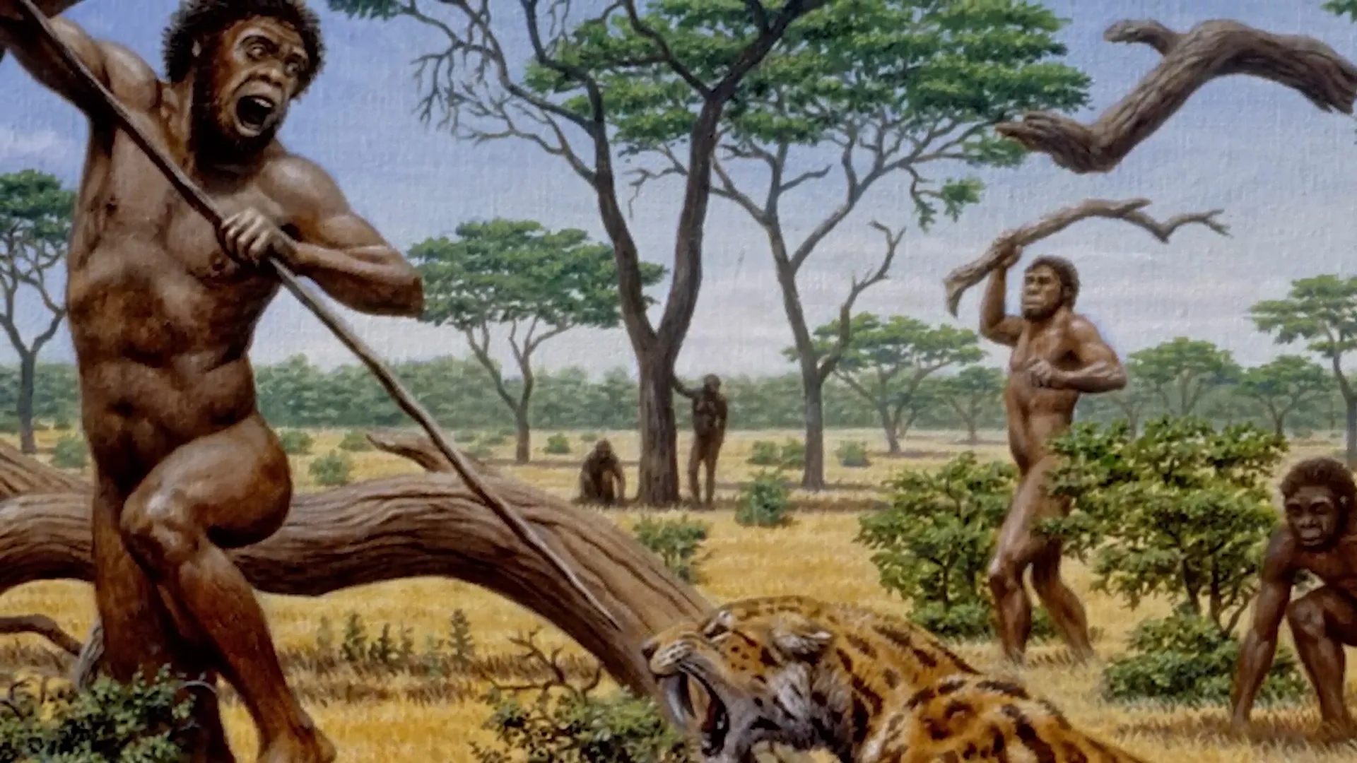 Early Humans