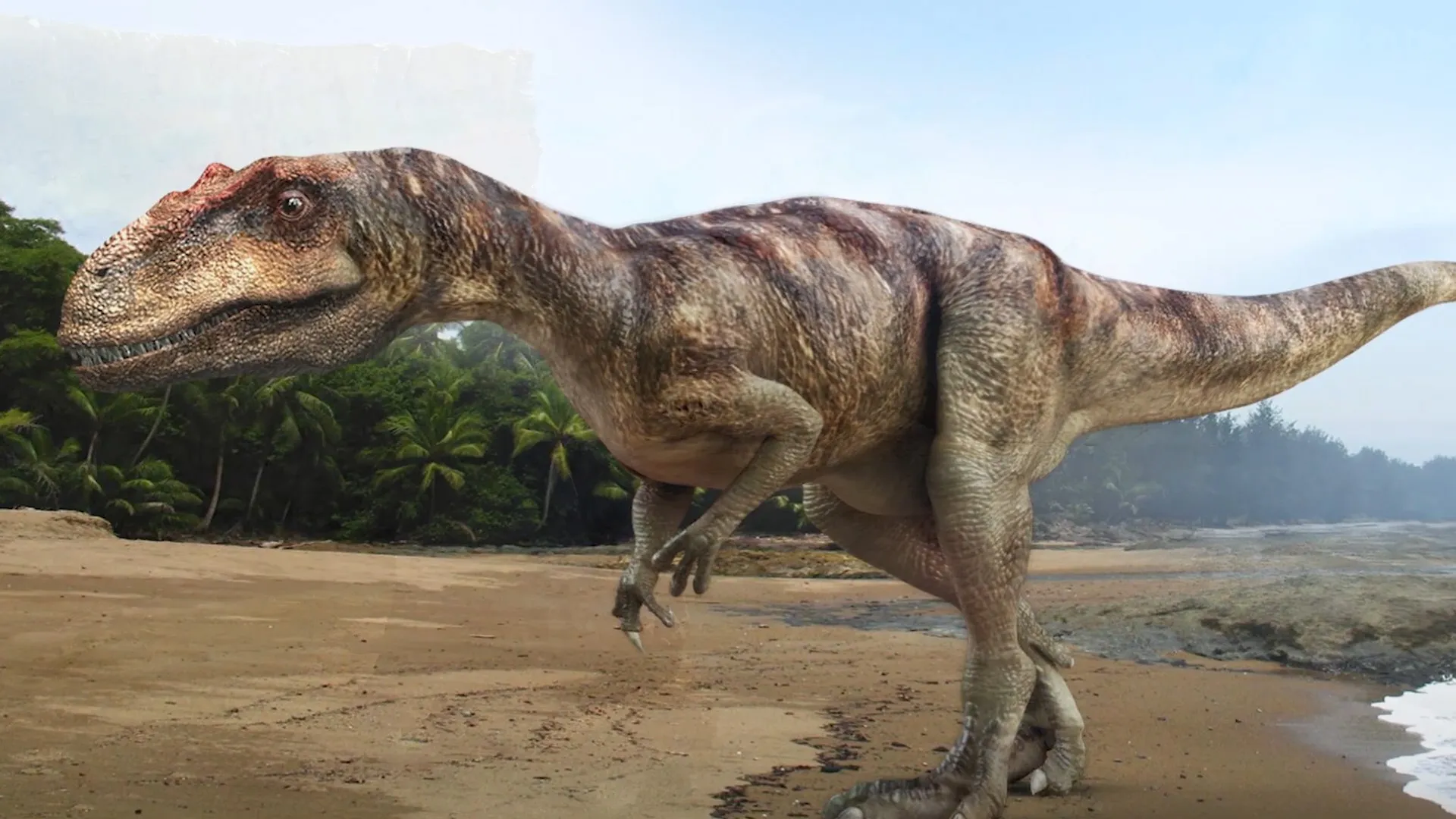 Dinosaur Discovery