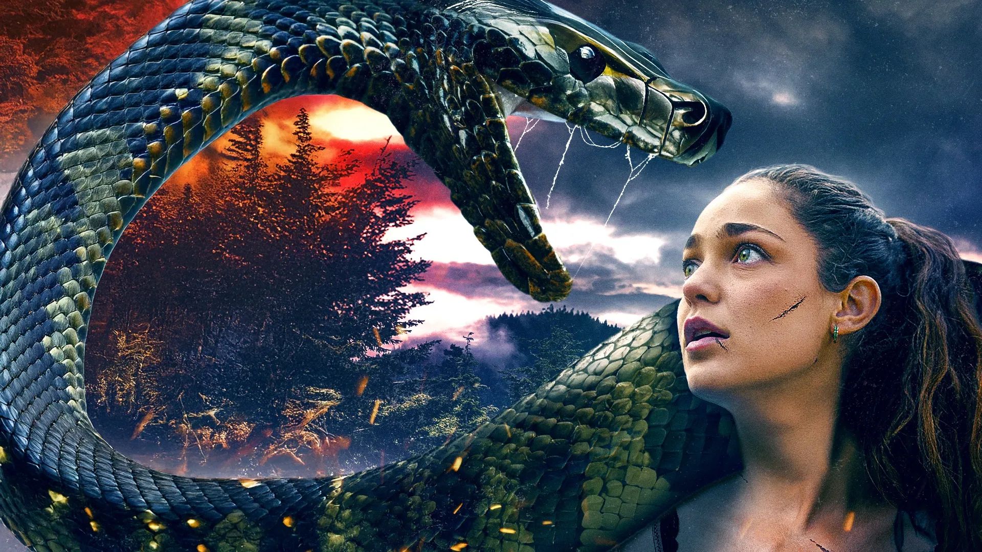 Anaconda: Blood Coil