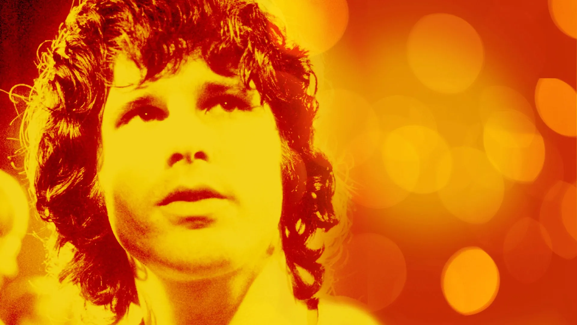 The Doors: Videobiography