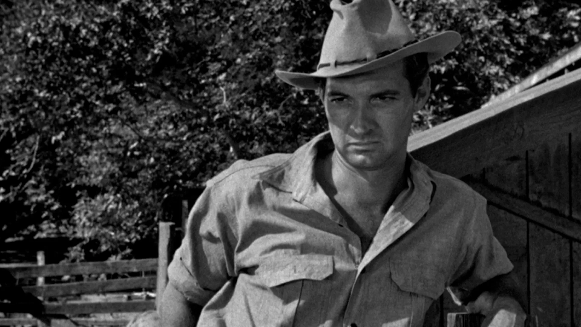 The Southerner