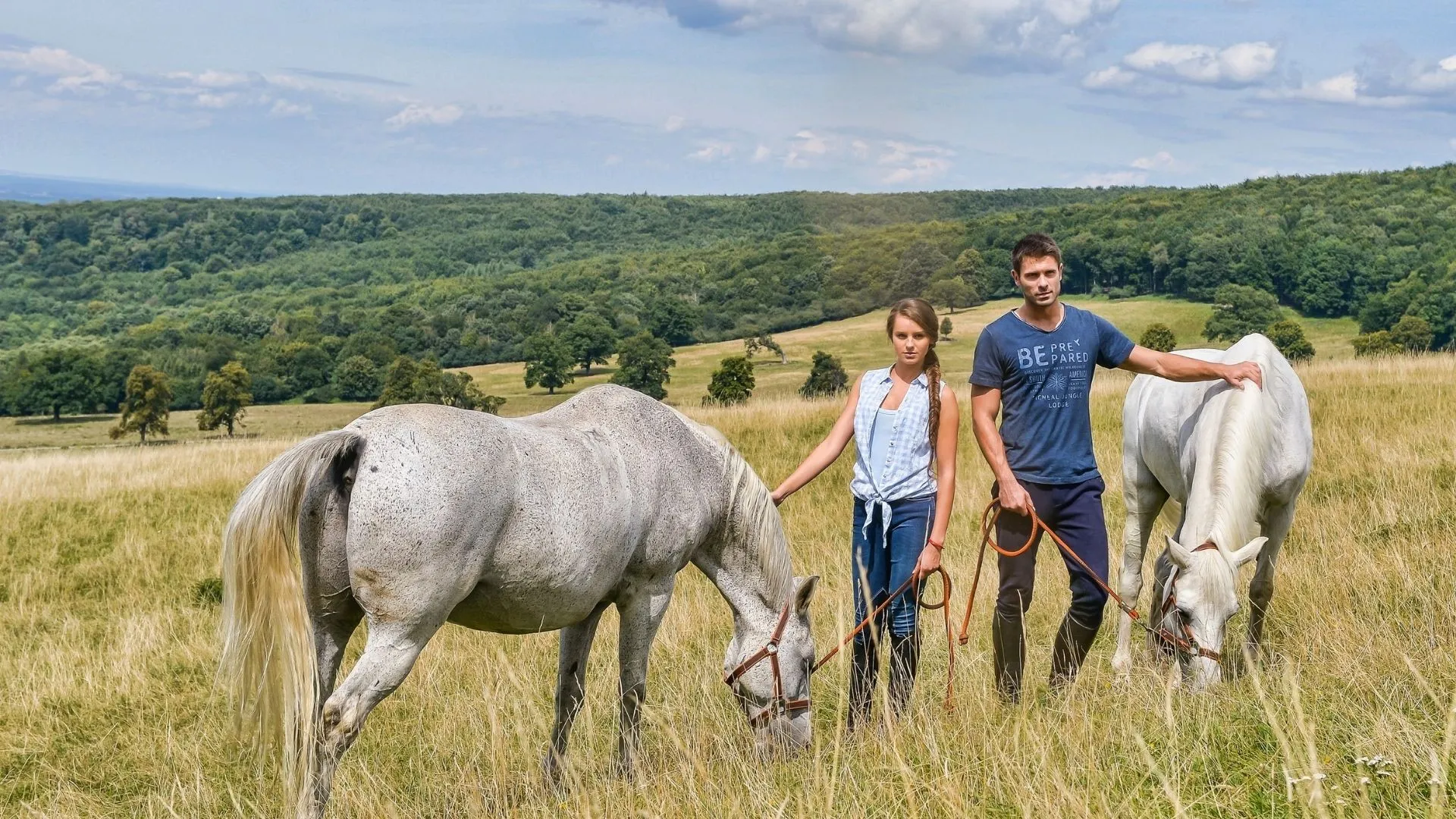 Wild Horses