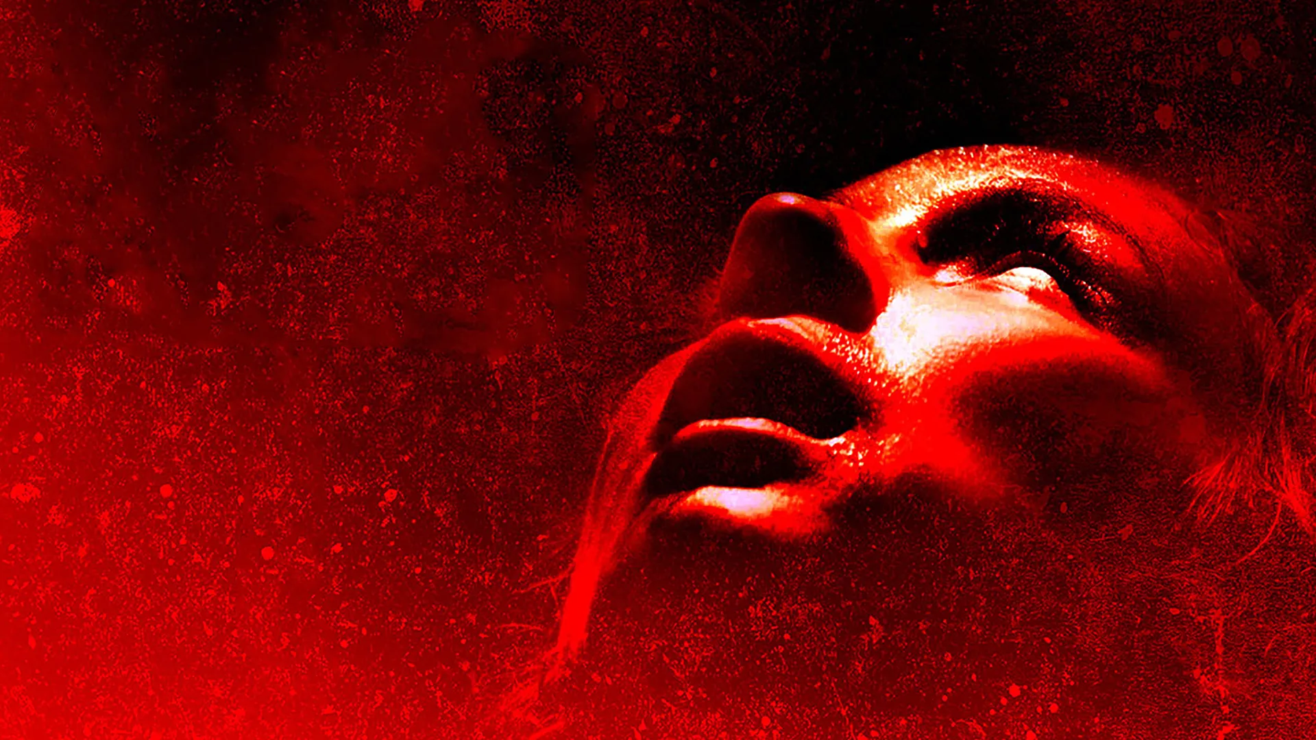 Martyrs (2015)