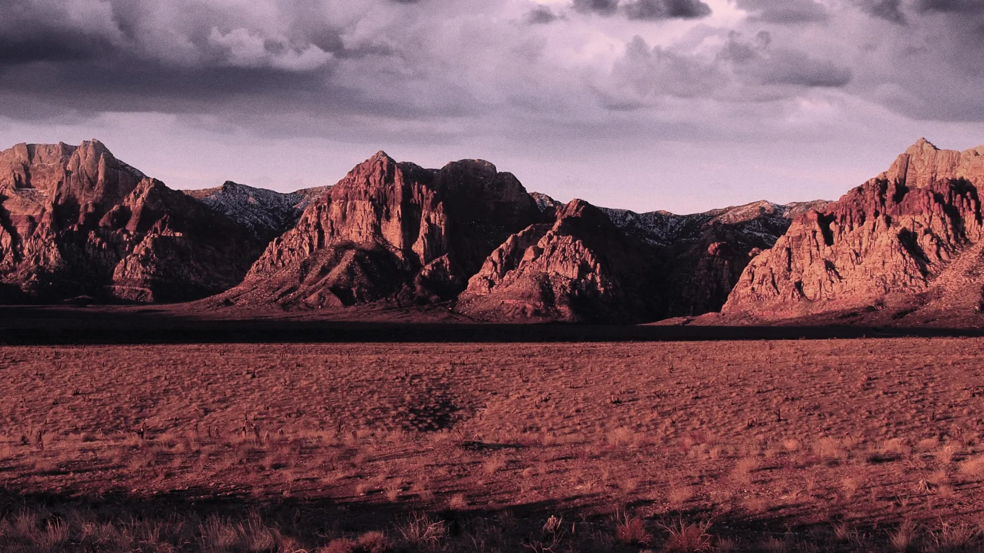 Bloodlands