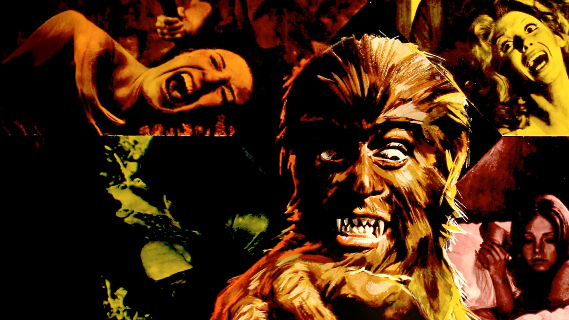 The Werewolf vs. Vampire Woman