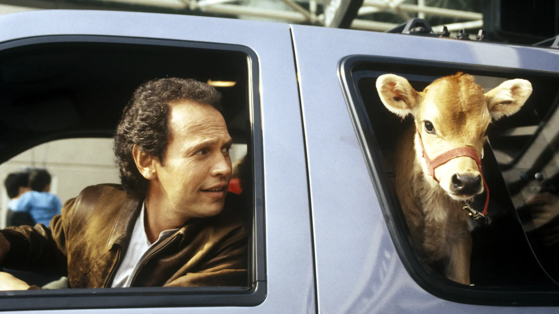 City Slickers