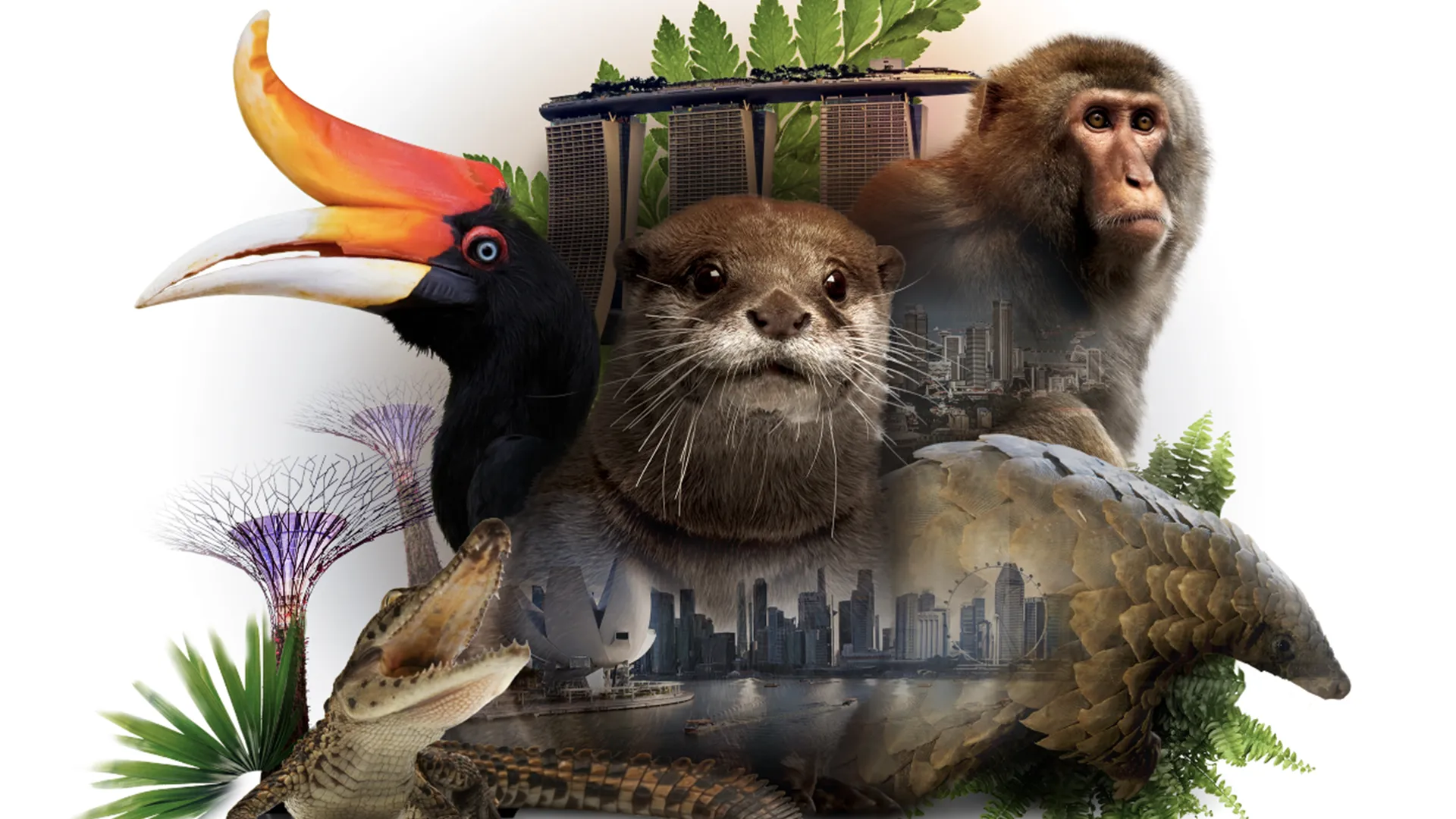 David Attenborough's Wild City