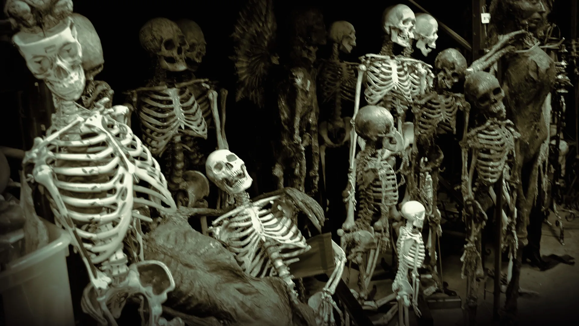 Halloween Crazier