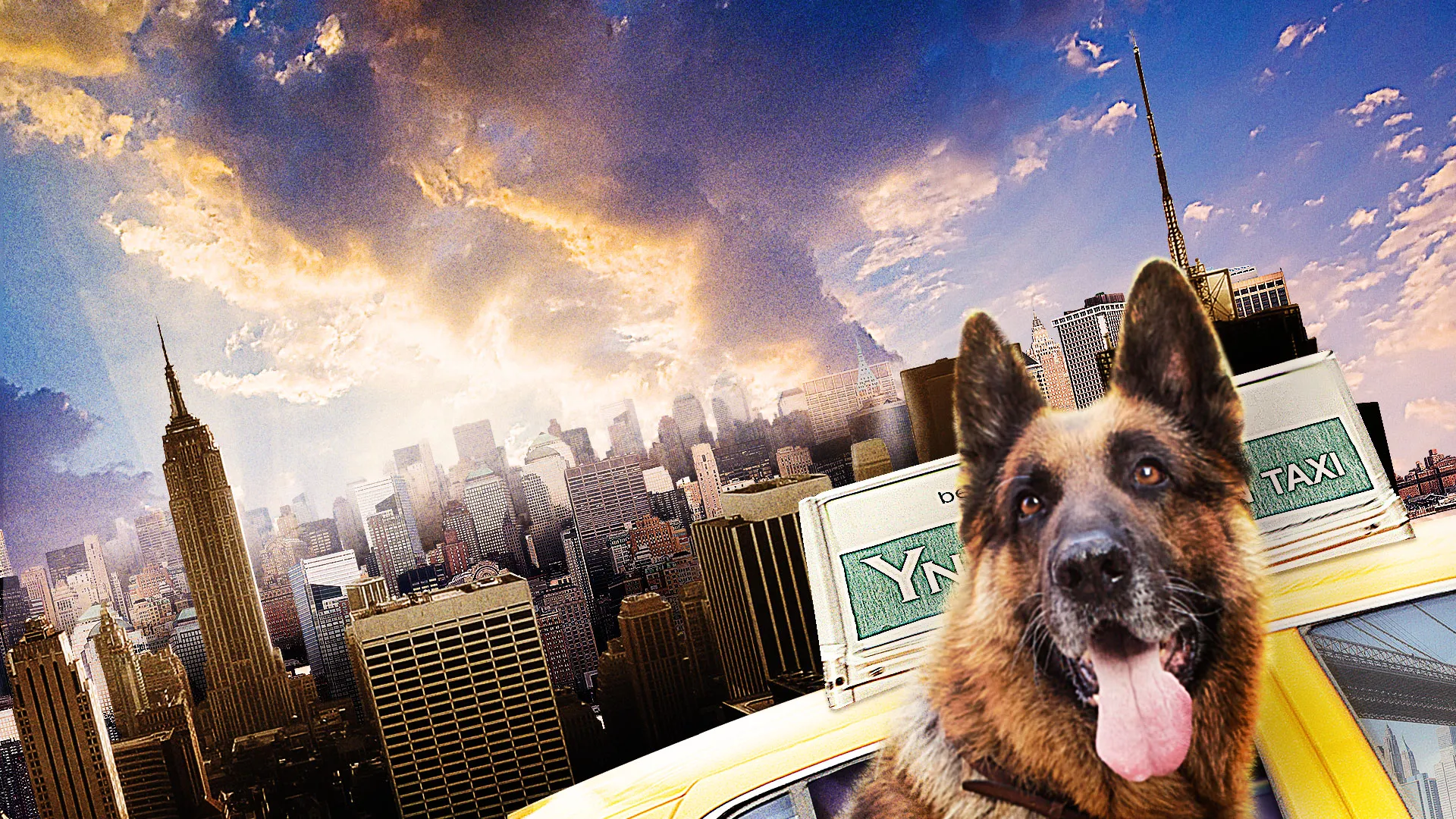 Tierisch Cool - Ein Hund in New York