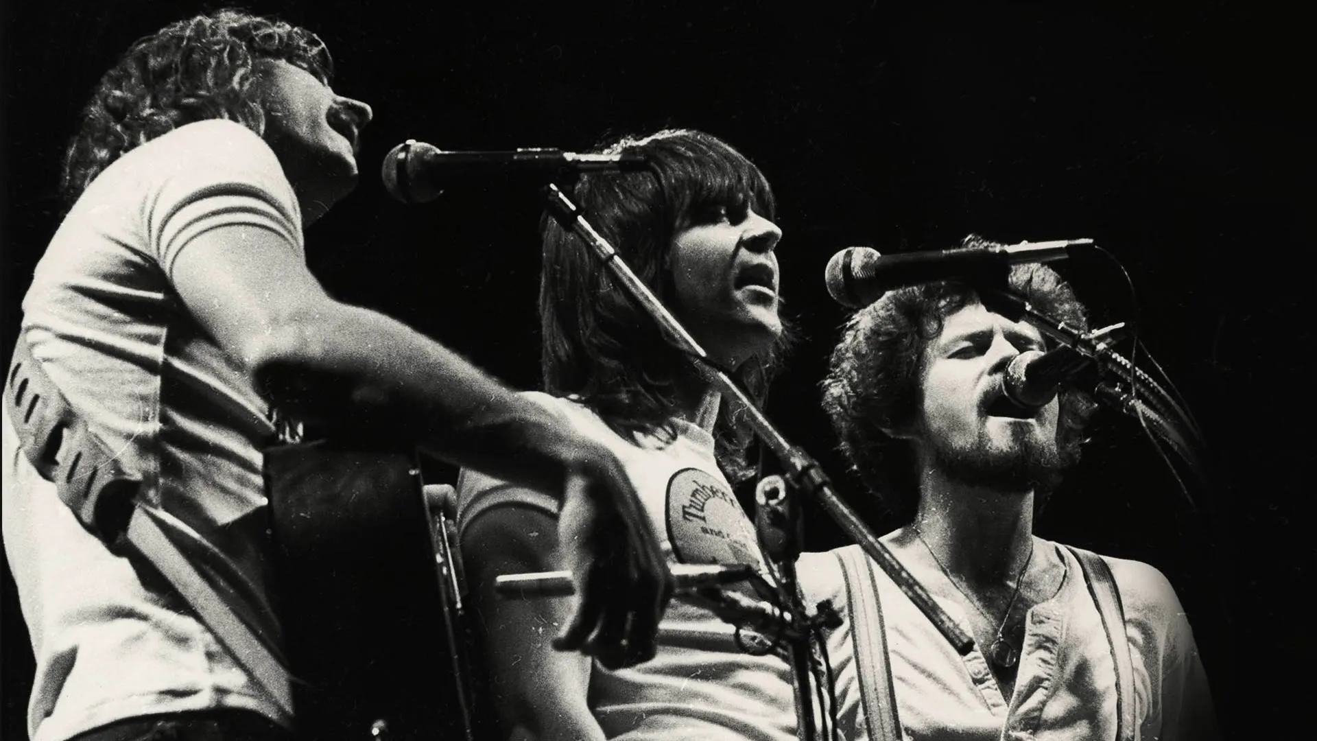 The Eagles: In Performance
