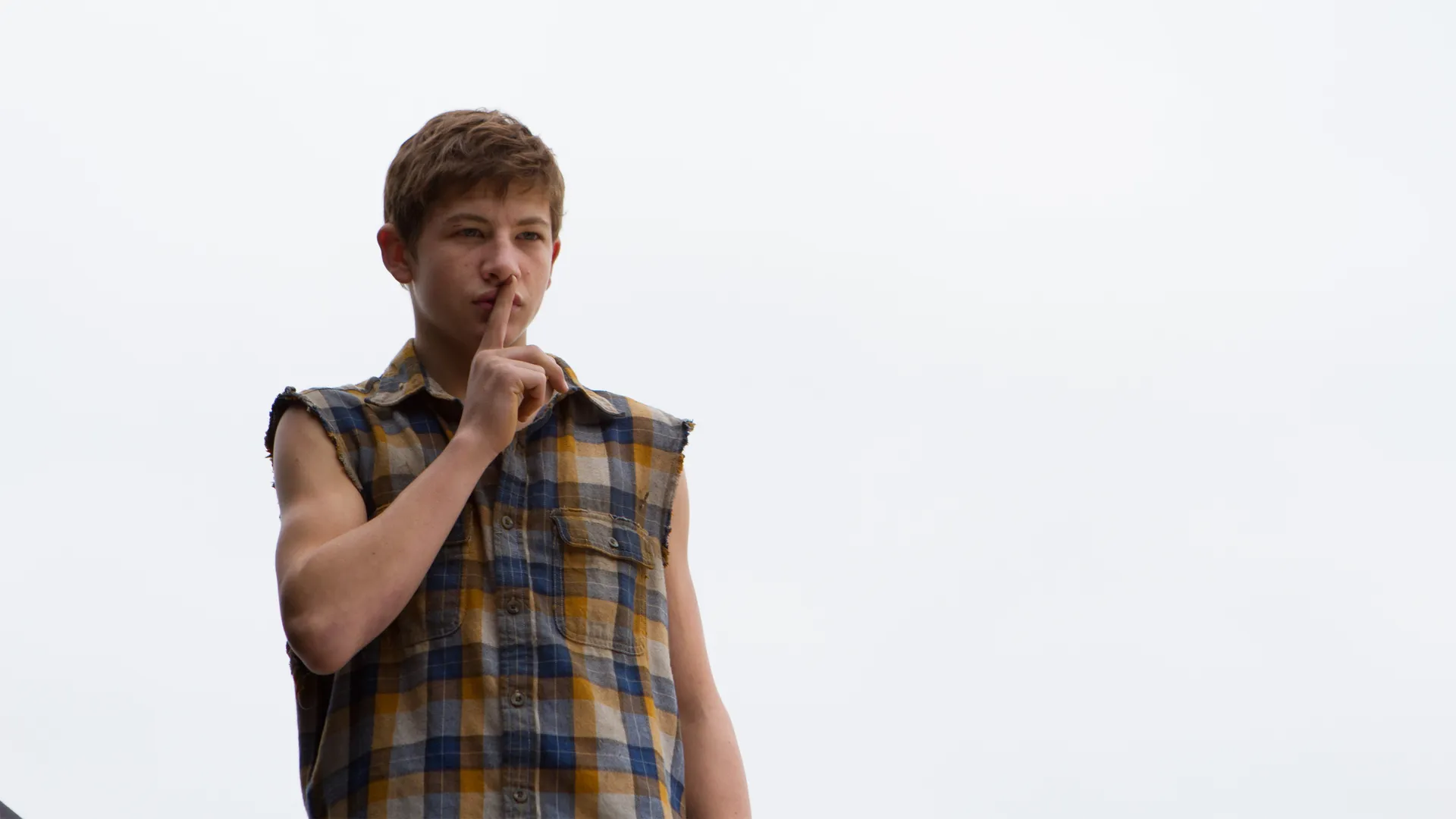 Joe (2014)