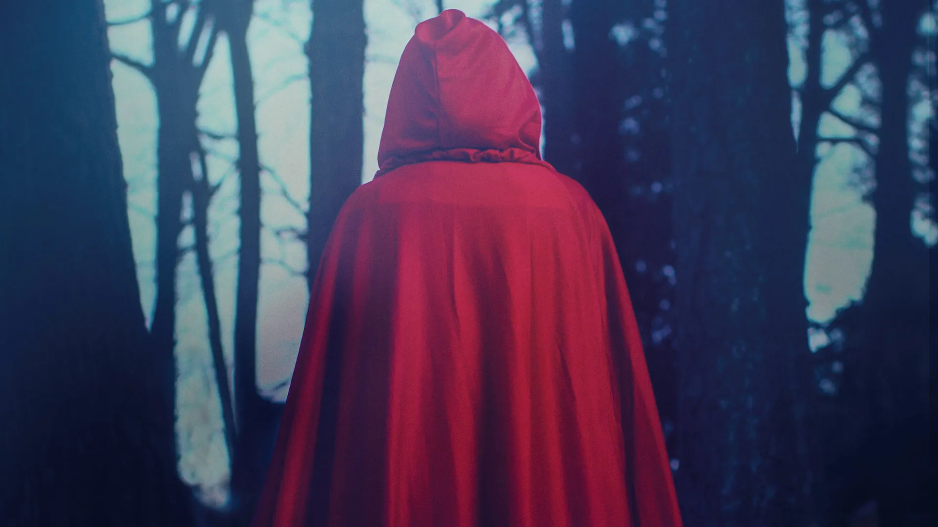 The Handmaid's Tale (1990)