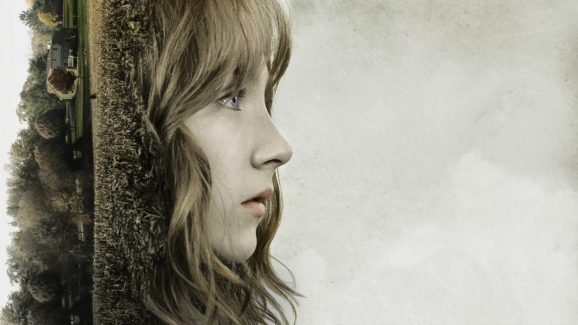 The Lovely Bones