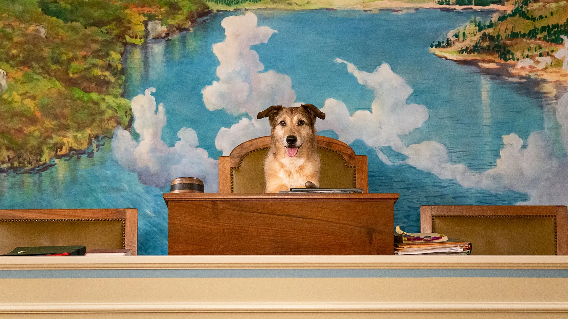 El juicio del perro