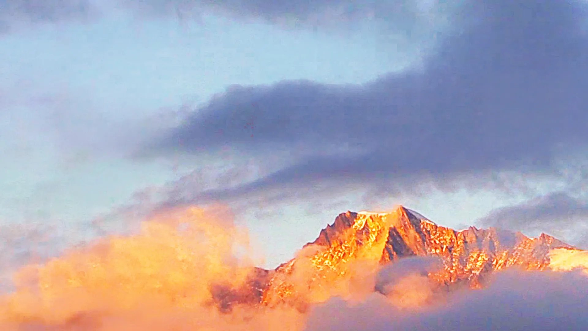 Wild Switzerland