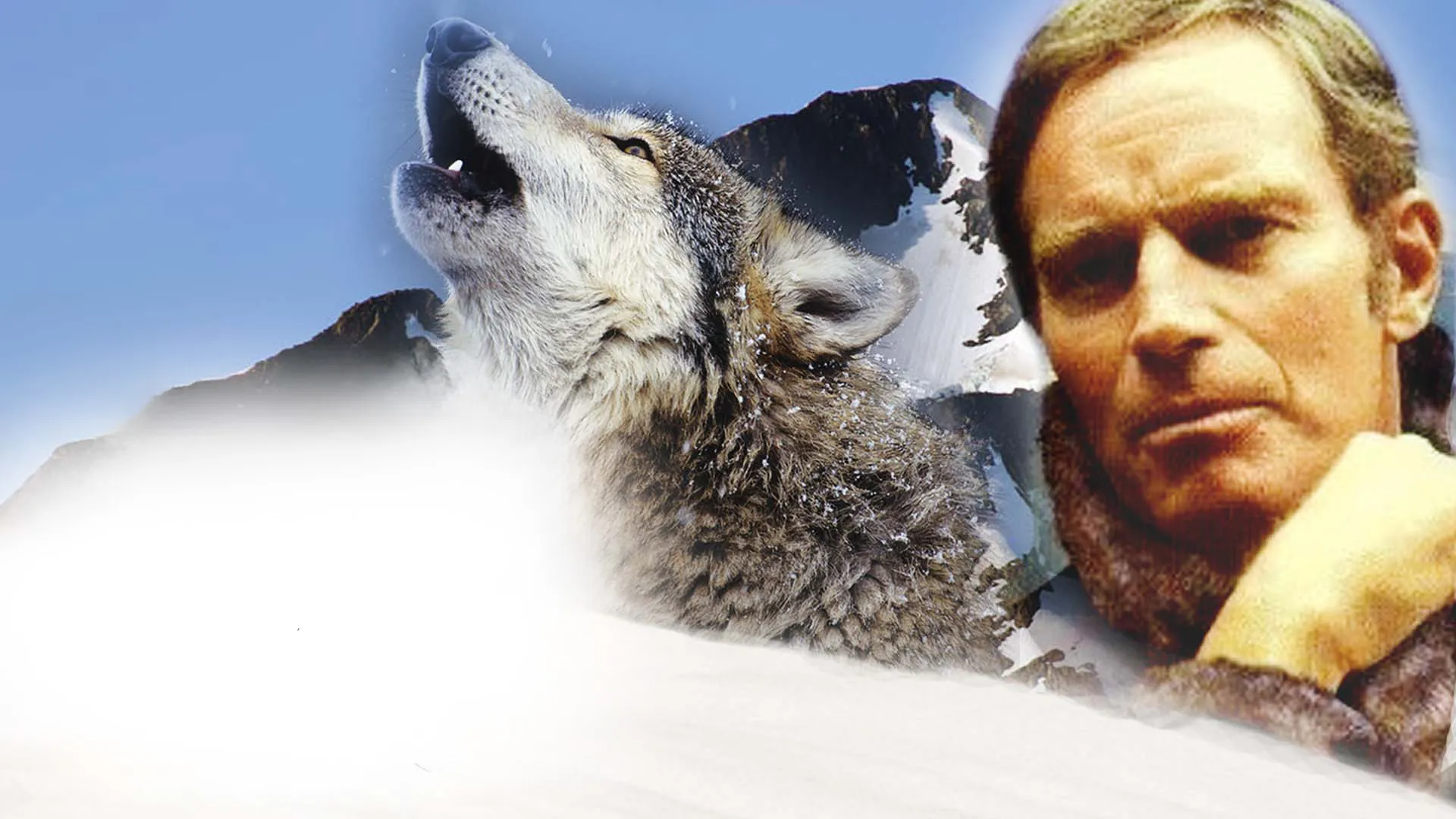 The Call of the Wild (1976)