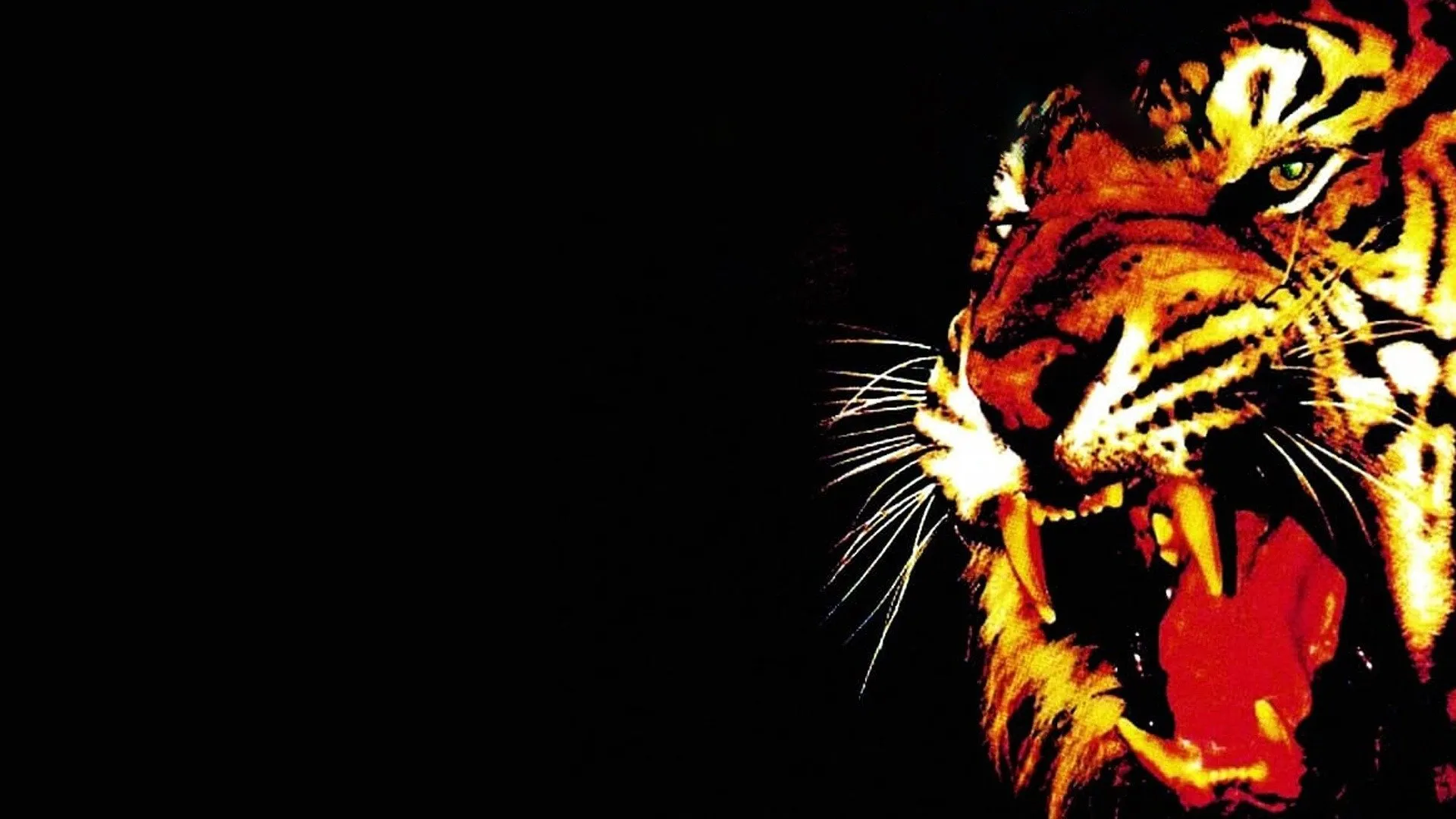 Challenge Of The Tiger