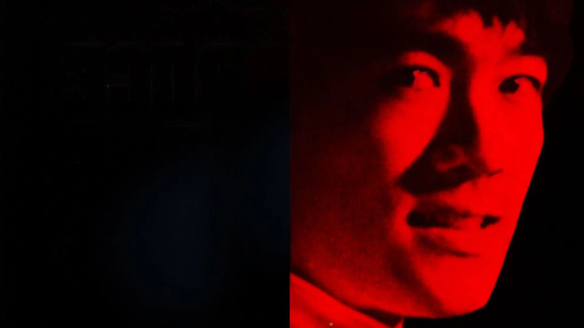 Goodbye, Bruce Lee: His Last Game Of Death