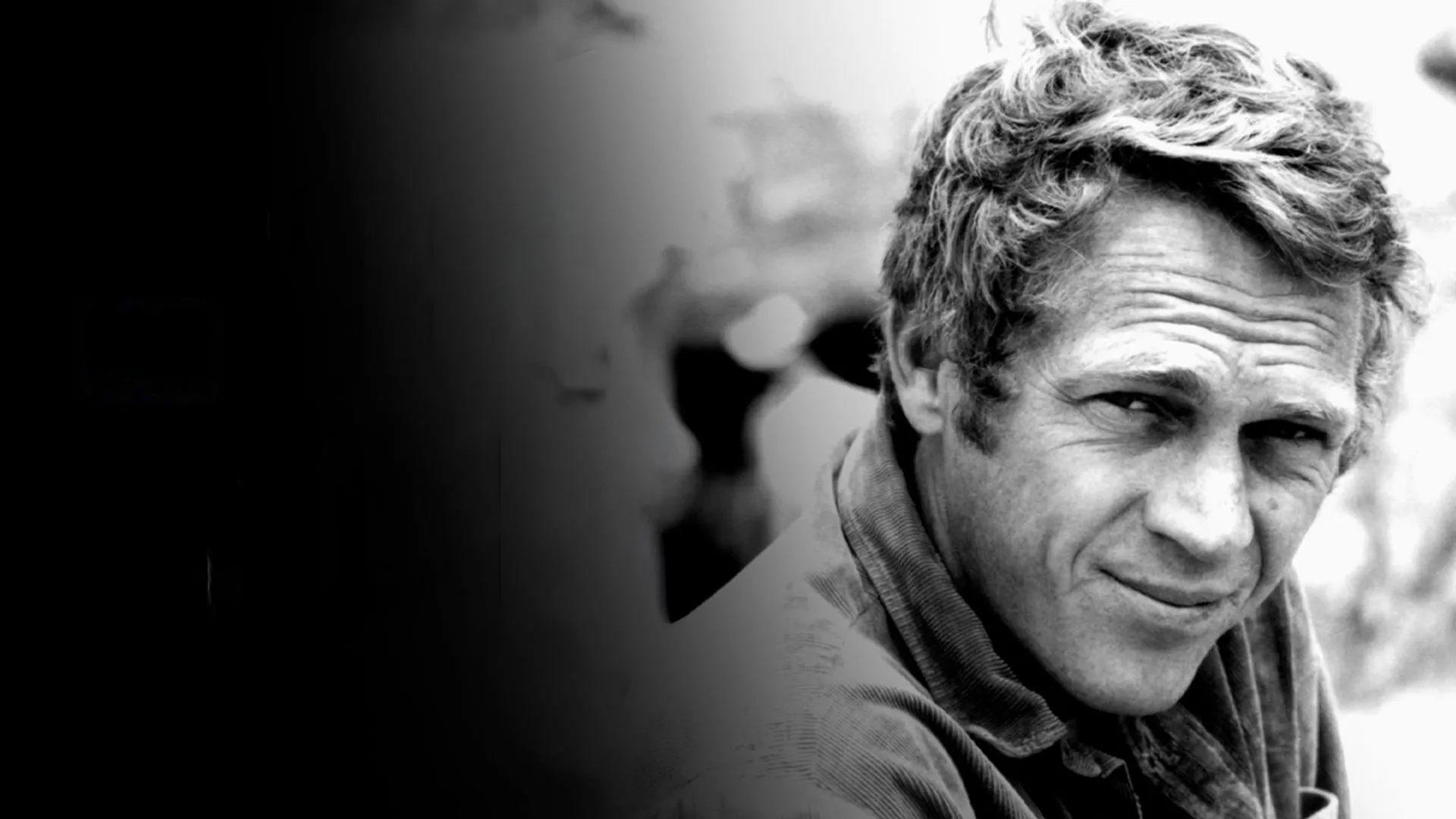 I Am Steve McQueen