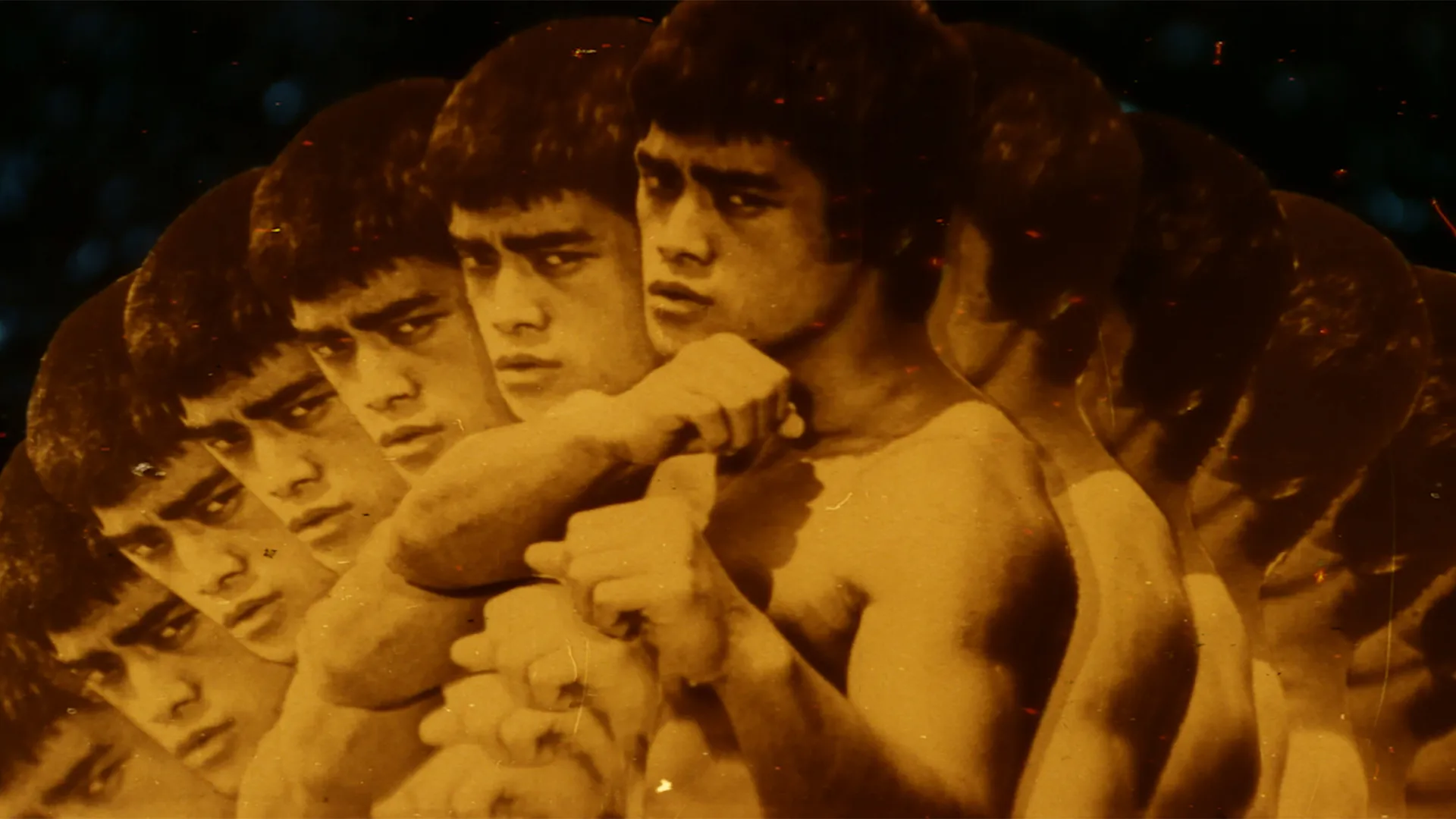 The Black Dragon Vs. The Yellow Tiger