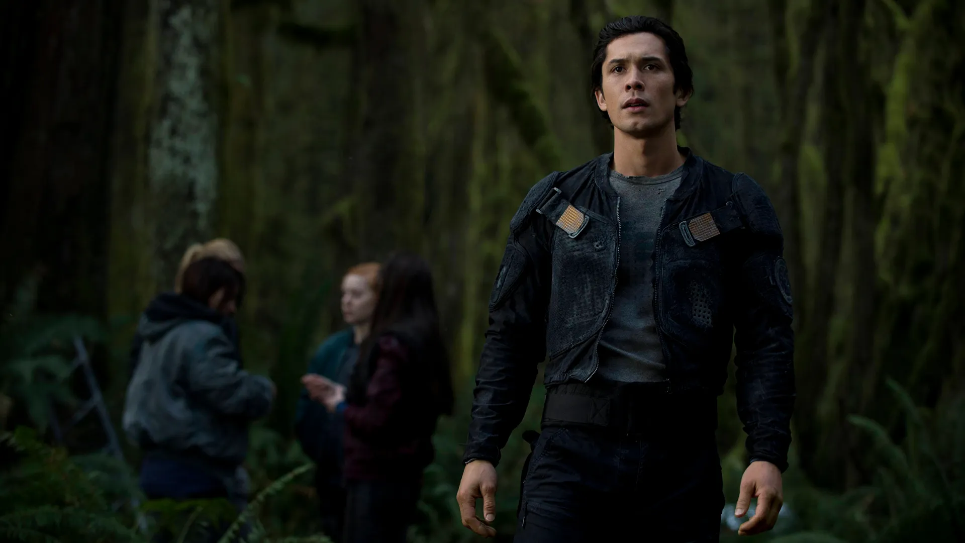 The 100 banner