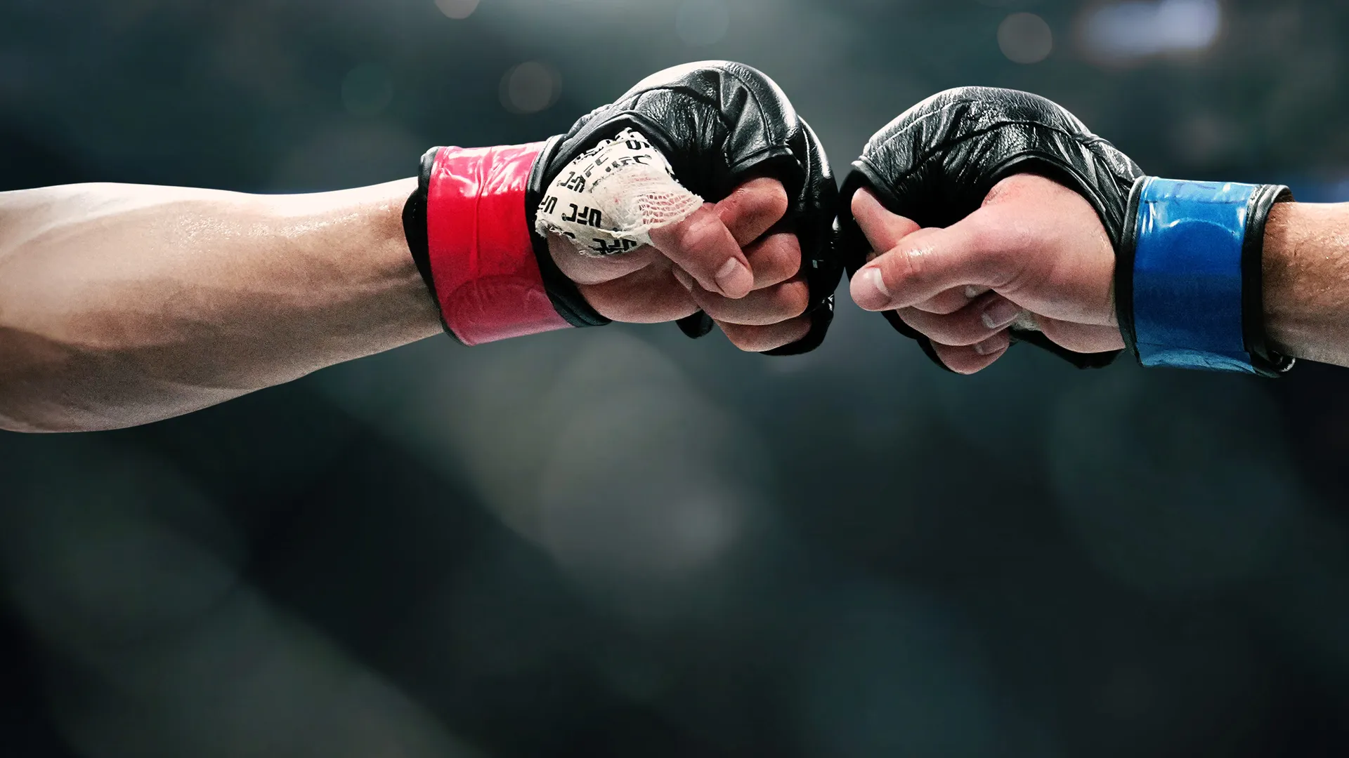 UFC Fight Night: Wang Cong vs. Eduarda Moura