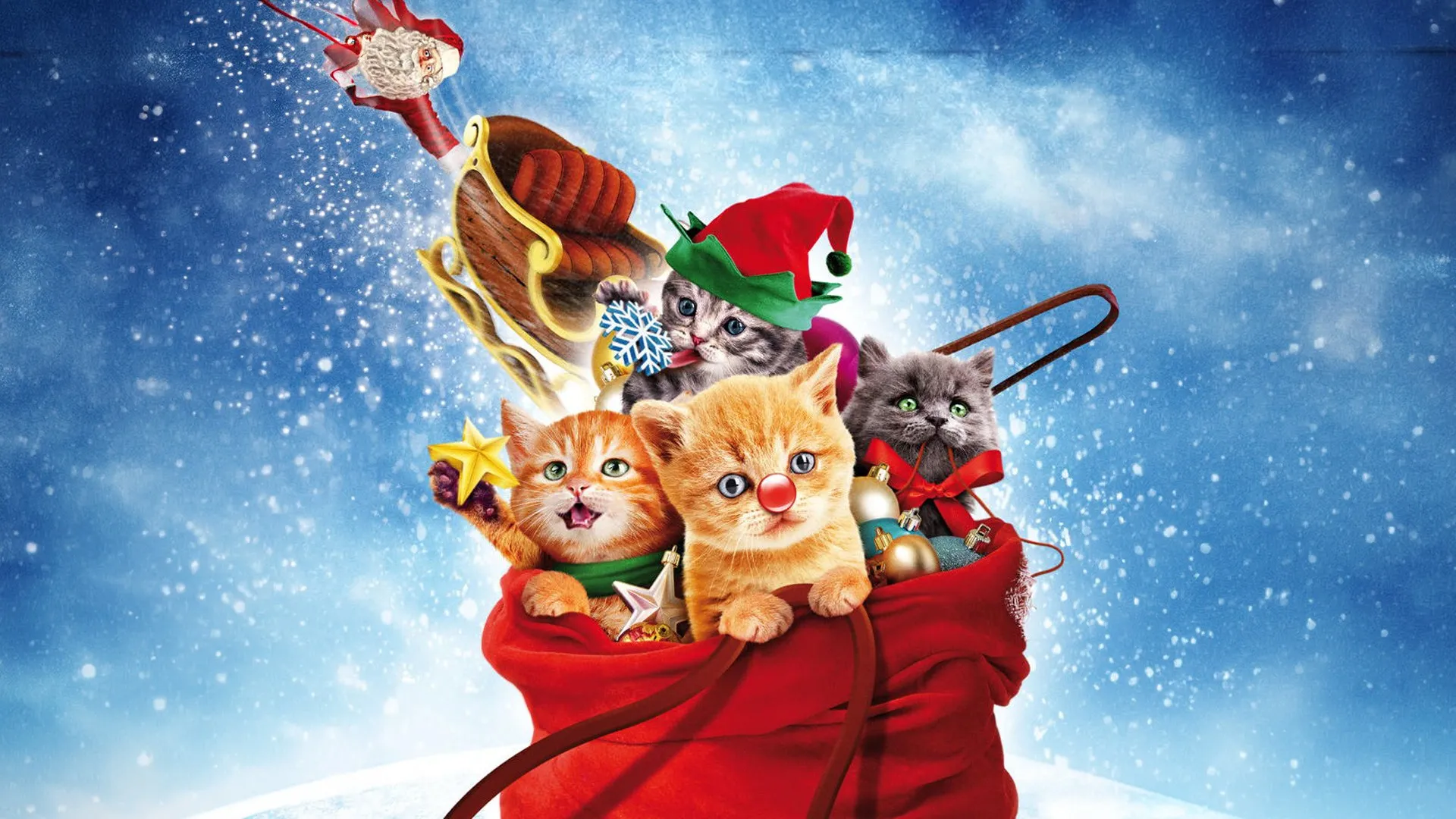 Golden Winter 2 – Die Katzen sind los