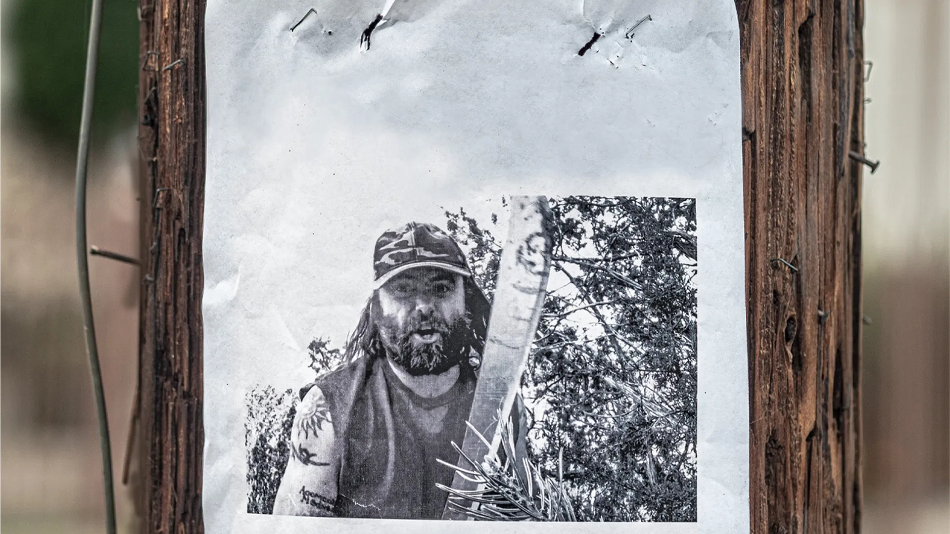 The Disappearance Of Toby Blackwood