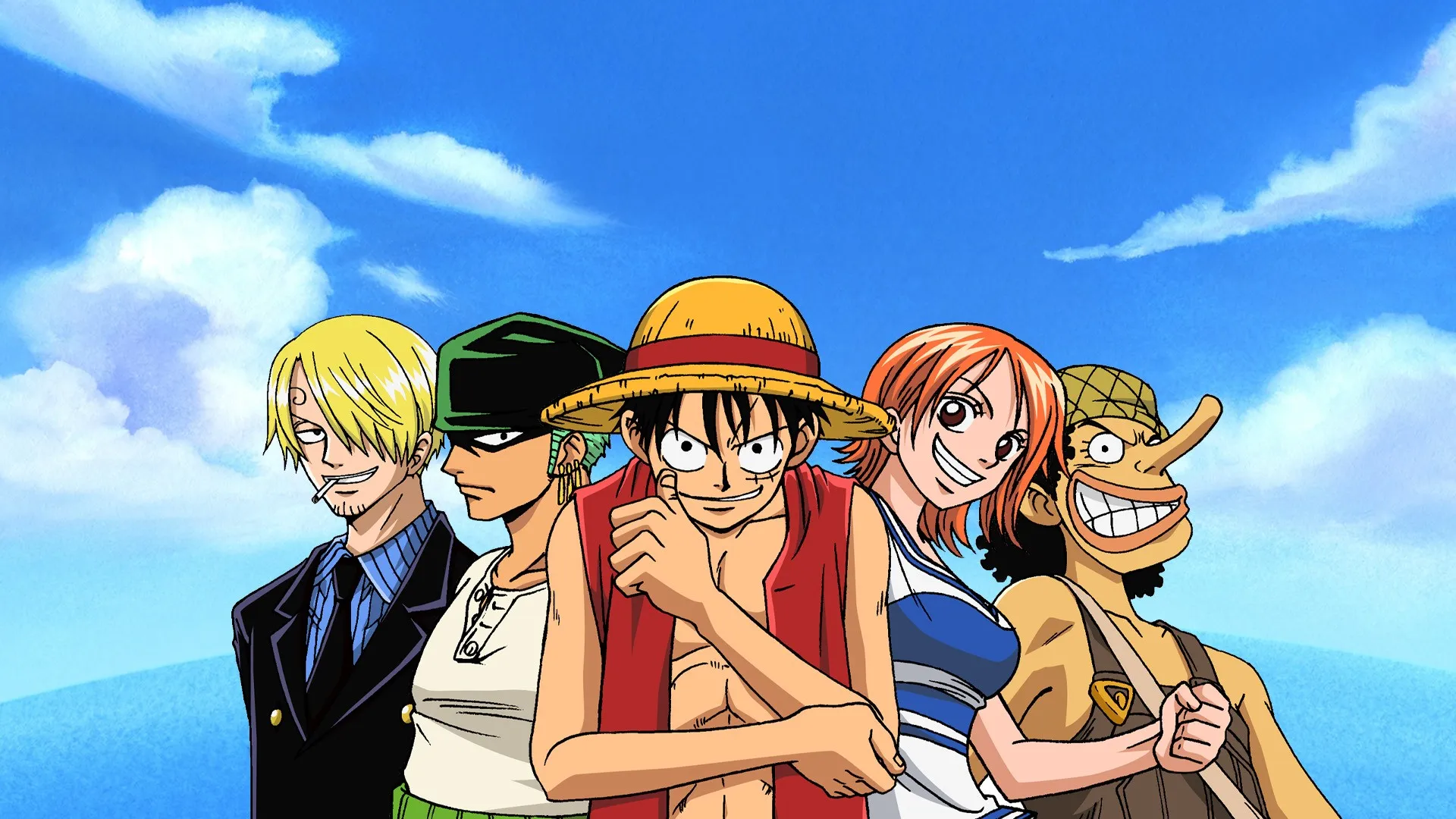 One Piece banner