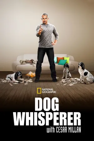 Hundehviskeren
