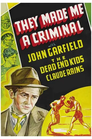 They Made Me a Criminal