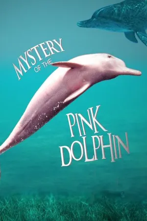 Mystery of the Pink Dolphin
