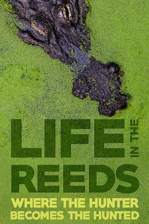 Life in the Reeds